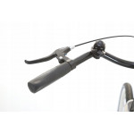 Mestský bicykel 28" Lavida Mahbike s nízkym nástupom hliníkový rám: 18" Strieborná